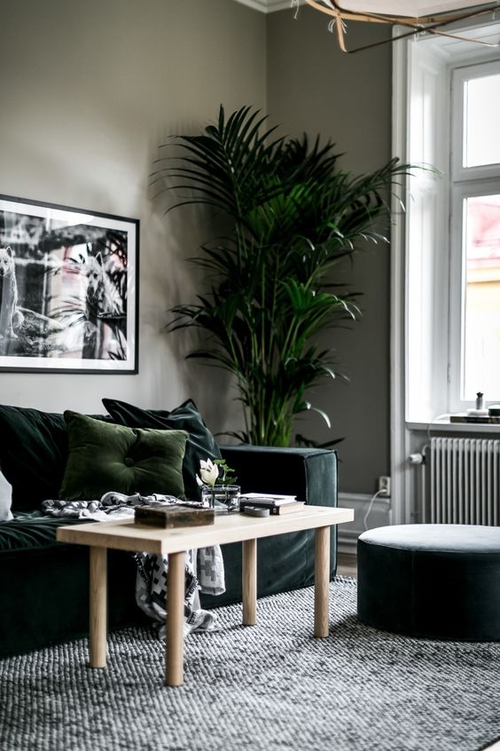 Imagen destacada del post Los tonos verdes, la tendencia que va a triunfar este 2021